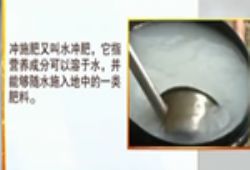 ʲô�Ǜ_ʩ��?����Щ����Ч����ҕ�l��